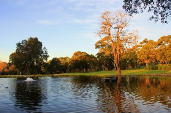 Cammeray Golf Club