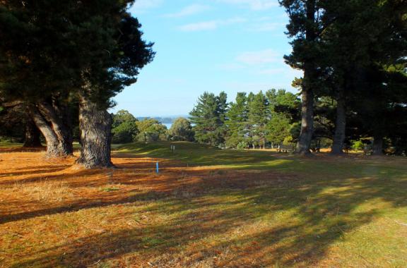 George Town Golf Club