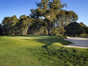 Mansfield Golf Club Inc