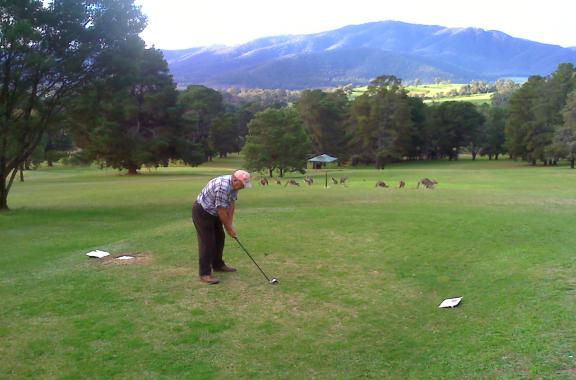 Mount Beauty Golf Club