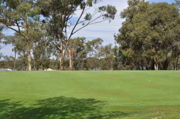 Neangar Park Golf Club