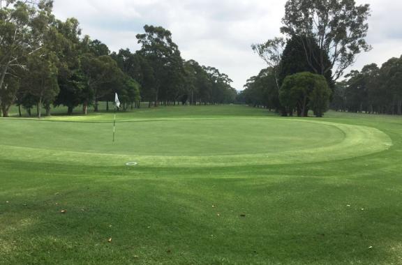 North Turramurra Golf Club