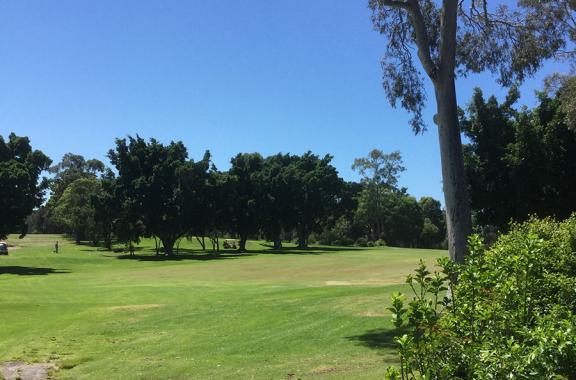 Shortland Waters Golf Club