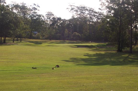 Woodford Golf Club