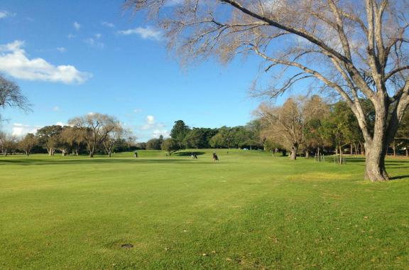 Woollahra Golf Club