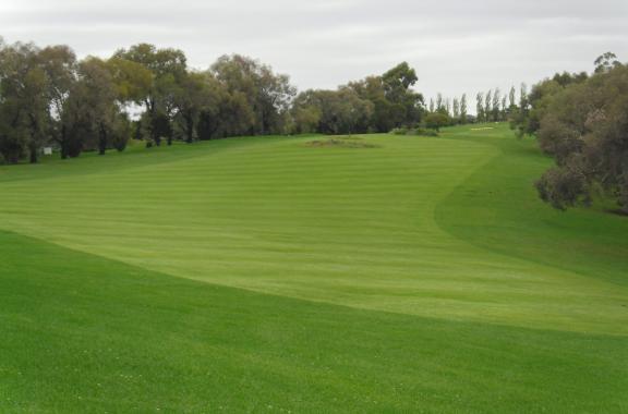 Young Golf Club